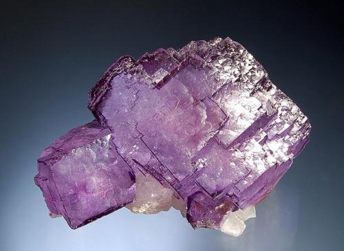 Fluorite
Yaogangxian Mine, Yizhang Co., Chenzhou Pref., Hunan Prov., China
5.5 x 8.0 cm
Several interconnected purple fluorite crystals with thin dark purple rims associated with minor quartz. (Author: crosstimber)