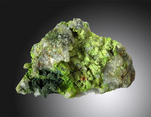 Arthurite and olivenite
Hingston Down Consols, Gunnislake, Cornwall, England, UK
55x45mm. (Author: ian jones)