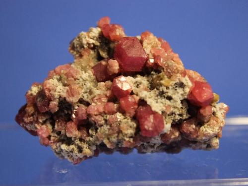 Grossular (Garnet)
Lake Jaco, Sierra de las Cruces, Coahuila, Mexico
5.5 x 3.6 cm (Author: Don Lum)