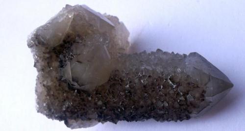 Cuarzo
Los Arenales, Cáceres capital, Extremadura, España
5 x 1,5 cm el cristal de mayor tamaño.
Cristal de cuarzo con forma de cactus ligeramente ahumado por una parte. (Autor: Cristalino)