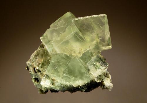 Fluorite
Xianghuapu Mine, Linwu Co., Chenzhou Pref., Hunan Prov., China
5.5 x 6.5 cm
Pale green, transparent crystals with cube {100} and dodecahedron {110} forms. (Author: crosstimber)