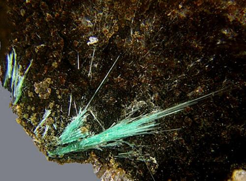 Zalesiita.
Minas del Barranco del Brezal, Pavías, Castellón, Comunidad Valenciana, España.
Campo de visión de 3 mm. (Autor: Antonio Carmona)