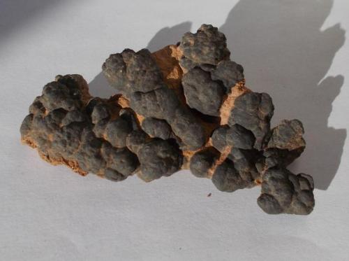 Óxidos de manganeso y hierro
Las Herrerias, Almería, Andalucía, España
8cm x 1,5cm x 4cm (Autor: srm13151)