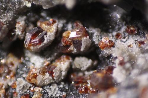 Esfalerita<br />Minas de Velilla, Velilla de la Tercia, Villamanín, Comarca Los Argüellos, León, Castilla y León, España<br />Cristales de 2mm<br /> (Autor: minero1968)