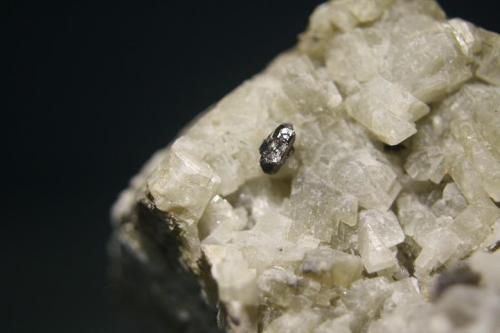 Rutilo<br />Alegría Mine, Morille, Comarca Campo de Salamanca, Salamanca, Castile and León, Spain<br />Cristal de 3 mm<br /> (Autor: minero1968)