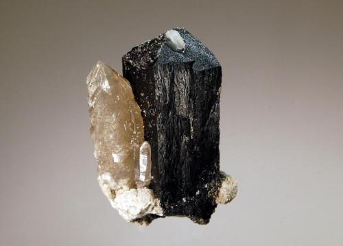 Ilvaite
Huanggang Complex, Keshiketeng Co., Chifeng Pref,, Inner Mongolia AR, China
3.0 x 4.5 cm
Semi-lustrous prismatic ilvaite crystal oriented in parallel with a quartz crystal showing “artichoke” growth habit. (Author: crosstimber)