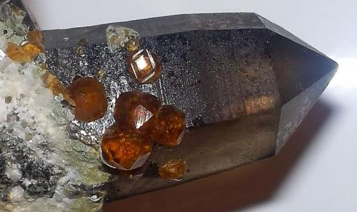 Spessartina (Espesartina) (Grupo Granate) sobre Cuarzo Ahumado
Tongbei, Yunxiao Co., Zhangzhou Prefecture, Fujian, China.
4 x 1,5 el cristal de cuarzo de mayor dimensión (Autor: Cristalino)