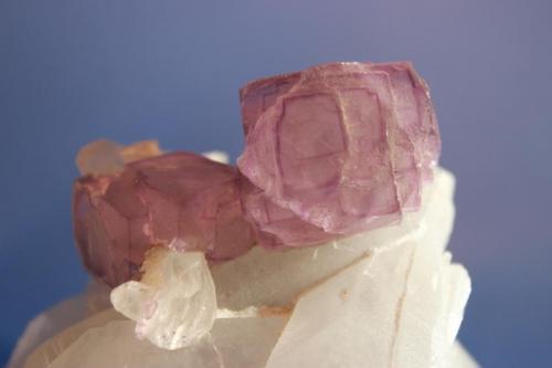 Fluorite, Quartz
Yaogangxian Mine, Hunan, China
10 x 9 cm (Author: Don Lum)