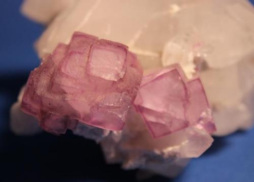 Fluorite, Quartz
Yaogangxian Mine, Hunan, China
10 x 9 cm (Author: Don Lum)