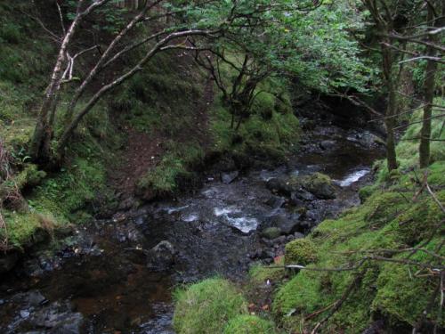 A stream in the woods, somewhere on the Isle of Skye, Scotland.
The stream/creek/small river I spent three hours lying face down in looking for silver nuggets... (Author: Mike Wood)