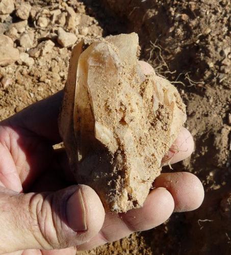 Crystal group from above mentioned pocket. (Author: Pierre Joubert)