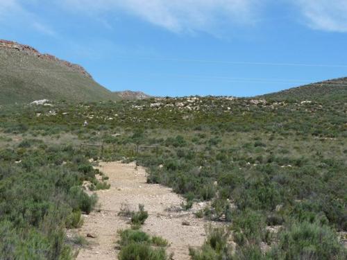 A part of the quartz reef. (Author: Pierre Joubert)