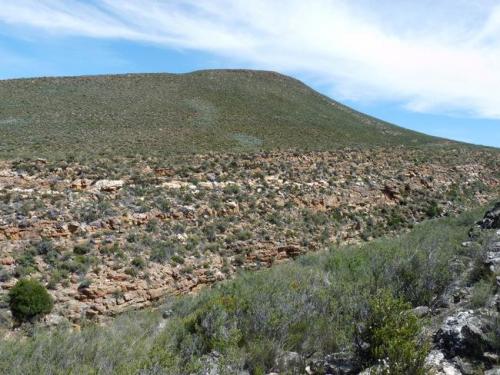 Quartz seams visible on the other side. (Author: Pierre Joubert)