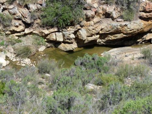 A small stream at the bottom of the small gorge with some pools just large enough to cool off in. (Author: Pierre Joubert)