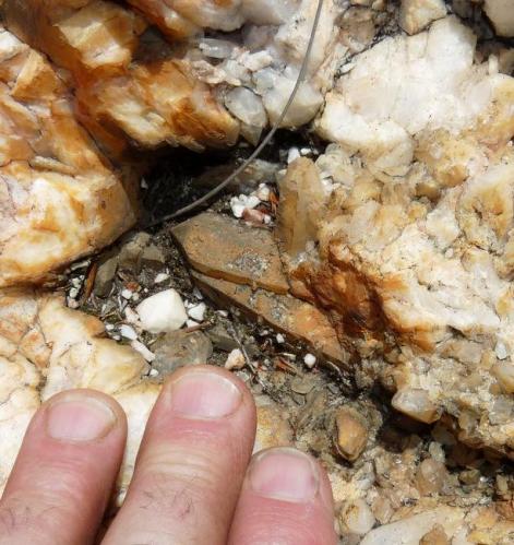 Quartz crystals in rock. (Author: Pierre Joubert)