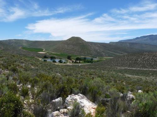 The area surrounding the quartz reef. (Author: Pierre Joubert)