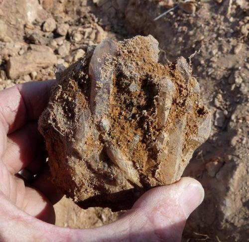 A quartz cluster from above mentioned pocket. (Author: Pierre Joubert)