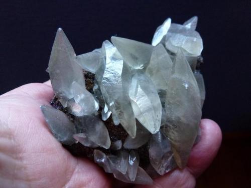Calcita sobre Galena 
Mina Sweetwater, Ellington, Reynolds Co., Missouri, USA
6 x 6 cm. (Autor: javier ruiz martin)