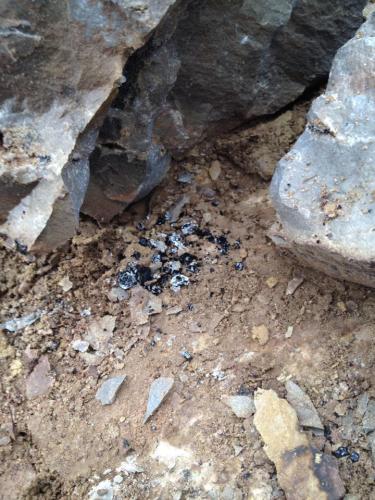 The contents of a small pocket with up to cm. size quartz and anthraxolite bits disgorged onto the bench. (Author: vic rzonca)