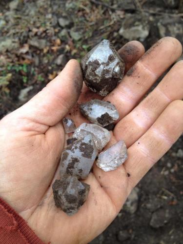 Some quartz grubbed out of the top few inches of not yet frozen top soil. (Author: vic rzonca)
