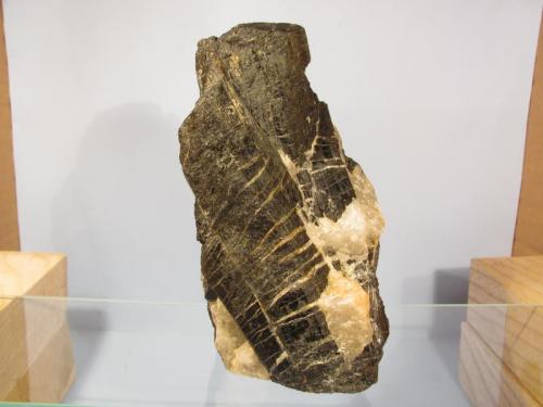 Tourmaline var. Schorl
Pitcapel Quarry, Aberdeen, Grampian Region, Scotland, UK.
12cm tall x 7cm x 6cm
Another view of the above specimen showing quartz-filled strain cracks in the schorl. Ergo, the quartz crystallised after the toumaline (schorl) which is usually the case in old pegmatites. The schorl crystals in this pegmatite are also bent or curved slightly, which may be because the host granite rock was still moving (emplacement) when (or just after) the pegmatite was formed. (Author: Mike Wood)