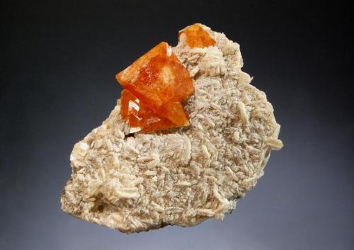 Scheelite
Mt. Xuebaoding, Pingwu Co., Mianyang Pref., Sichuan Prov., China
4.7 x 6.6 cm
Pseudo-octahedral orange scheelite crystals on silvery white muscovite. (Author: crosstimber)