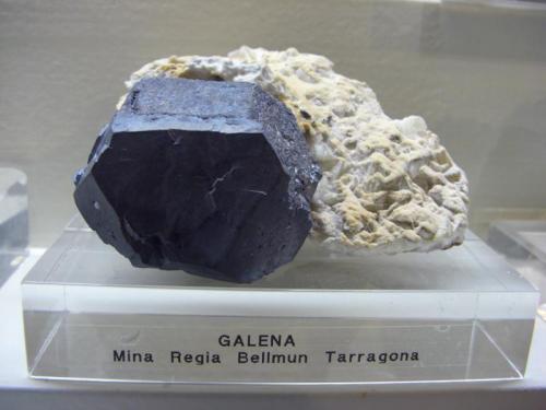Galena
Mina Regia, Bellmunt del Priorat, Tarragona, Catalunya, España
8x8x5 cm (Autor: jaume.vilalta)
