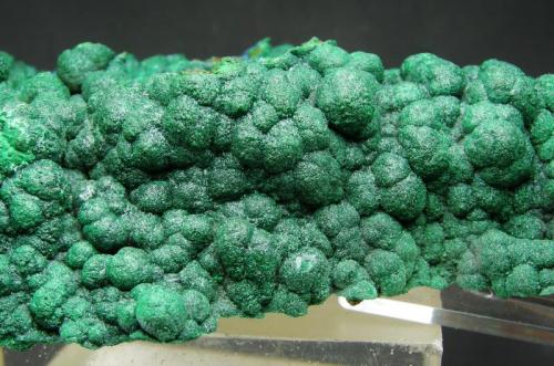 Malaquita Globular
Oumjrane Mine - Alnif - Er Rachidia - Marruecos
22.5 x 10.5
Detalle (Autor: Diego Navarro)