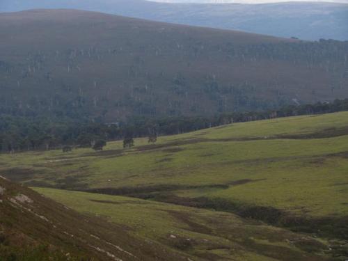 Looking back down the hill at the sheltering trees in the valley. It was getting late and I did consider staying down there for the night but there were too many midges. (Author: Mike Wood)