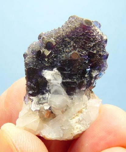 Fluorite, Quartz and calcite.
Orange river, Northern Cape, SA
37 x 23 x 21 mm
Same as above. (Author: Pierre Joubert)