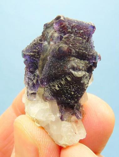 Fluorite, Quartz and calcite.
Orange river, Northern Cape, SA
36 x 23 x 21 mm (Author: Pierre Joubert)