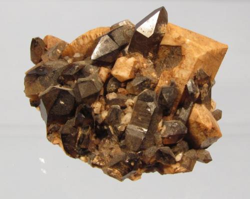 Smoky Quartz + Microcline
Ben a’ Bhuird, Cairngorm Mountains, Grampian Region, Scotland.
38mm x 27mm x 20mm
Small specimen, but the quartz is transparent and well-terminated. There are also a few tiny white albite crystals in there between and on the smoky quartz. Collected 1994. (Author: Mike Wood)