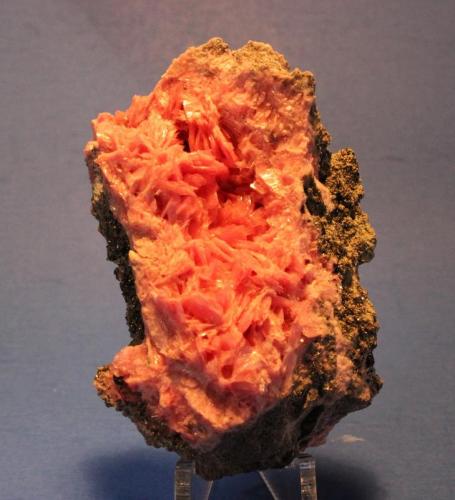 Rhodonite
Mina San Martin, Ancash, Peru
8 x 5.4 cm (Author: Don Lum)