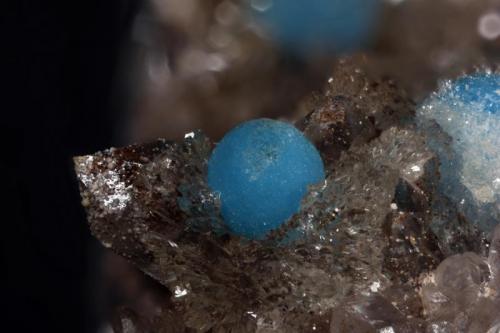 Turquoise
Itatiaiussú. Minas Gerais. Brazil
FOV 8,15mm
2,7x. Focus rail MacroRail. Canon EOS 600D. Ikea Lights.
Photo: Oscar Fernández Arcís, Mineral: Manuel de Torres (Author: ofarcis)