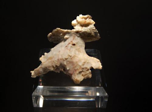 Wind erosion stone
Xinjaing Autonomous Region, China
6.7 cm. (Author: crosstimber)