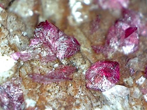 Roselite-Wendwilsonite Series
Bou Azzer District, Anti-Atlas Mountains, Tazenakht, Ouarzazate Province, Souss-Massa-Draa Region, Morocco
6.4 x 5.5 cm

Material from this find has been tested and confirmed to be Wendwilsonite (Author: Don Lum)