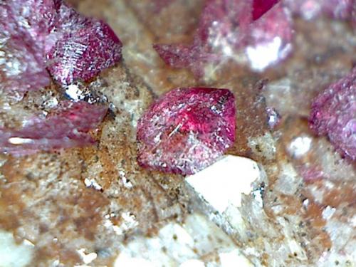 Roselite-Wendwilsonite Series
Bou Azzer District, Anti-Atlas Mountains, Tazenakht, Ouarzazate Province, Souss-Massa-Draa Region, Morocco
6.4 x 5.5 cm

Material from this find has been tested and confirmed to be Wendwilsonite (Author: Don Lum)