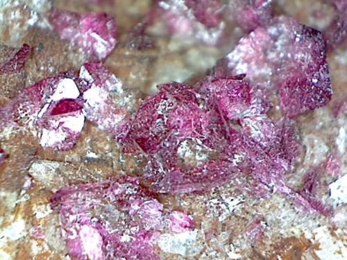 Roselite-Wendwilsonite Series
Bou Azzer District, Anti-Atlas Mountains, Tazenakht, Ouarzazate Province, Souss-Massa-Draa Region, Morocco
6.4 x 5.5 cm

Material from this find has been tested and confirmed to be Wendwilsonite (Author: Don Lum)