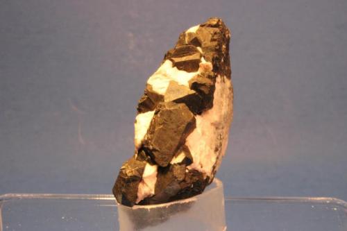 Alabandite
Uchucchuacua Mine, Oyon Province, Lima Department, Peru
5.5 x 3.6 cm (Author: Don Lum)