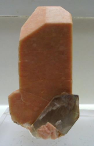 Cuarzo ahumado con microclina
Pedrera Mas Sever, Massabè, Sils, La Selva, Girona, Catalunya, España
4 x 2 x 2 cm (Autor: DavidSG)