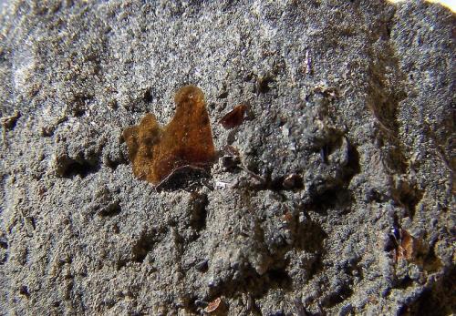 Biotita<br />Costa de Los Llanos de Aridane, Valle de Aridane, La Palma, Provincia de Santa Cruz de Tenerife, Canarias, España<br />6mm<br /> (Autor: canada)