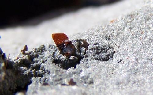 Biotita<br />Costa de Los Llanos de Aridane, Valle de Aridane, La Palma, Provincia de Santa Cruz de Tenerife, Canarias, España<br />3mm<br /> (Autor: canada)