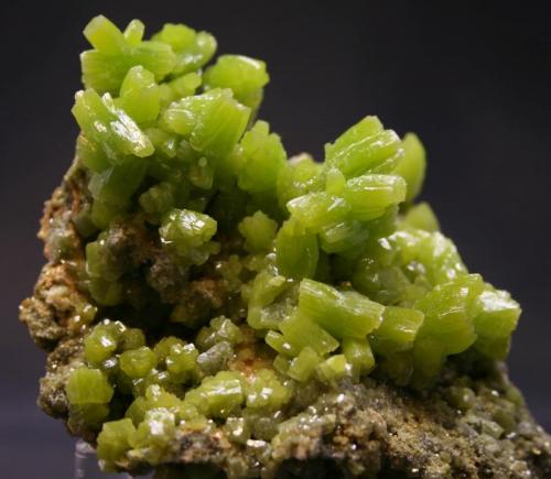 Pyromorphite
San Andrés Mine, Espiel (Villaviciosa de Córdoba), Córdoba, Andalusia, Spain
6 x 5 cm

Same specimen as before, new photo (Author: James)