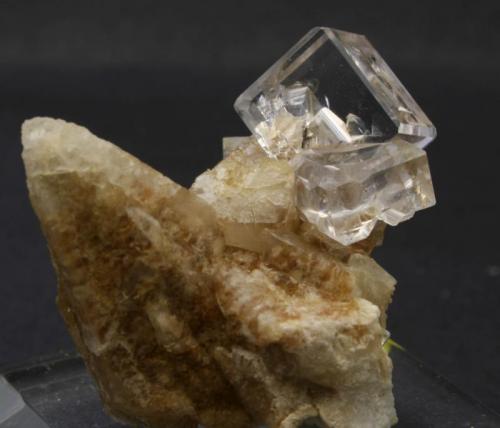 Fluorite, Calcite
Llamas Quarry, Duyos, Obdulia vein, Caravia District, Caravia mining area, Asturias, Spain
Main crystal is 1 x 0.8 cm (Author: James)