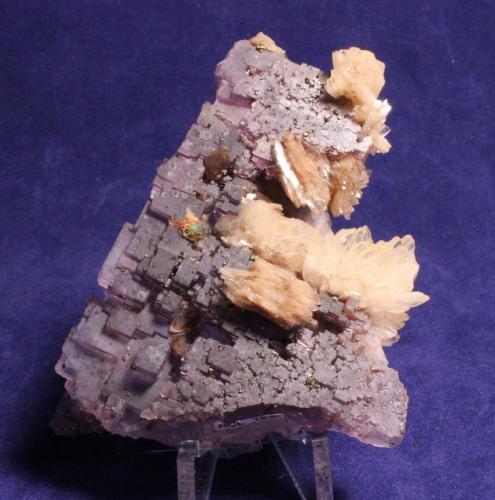 Fluorite, Barite
Annabel Lee Mine, Harris Creek Sub-district, Illinois-Kentucky Fluorspar District, Hardin County, Illinois, USA
8.4 x 6.3 cm
ex Ross C. Lilly (Author: Don Lum)