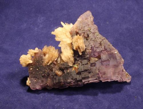 Fluorite, Barite
Annabel Lee Mine, Harris Creek Sub-district, Illinois-Kentucky Fluorspar District, Hardin County, Illinois, USA
8.4 x 6.3 cm
ex Ross C. Lilly (Author: Don Lum)