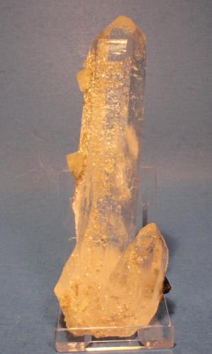 Quartz, Fluorapatite, Muscovite, Ferberite
Panasqueira Mine, Covilha, Castelo Branco. Cova da Beira, Centro, Portugal
13 x 4.3 x 3.4 cm
ex Alain Martaud (Author: Don Lum)