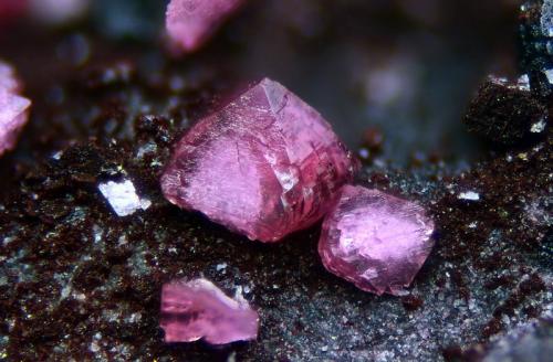 Adamita (variedad Cobalto Adamita)
Concesión La Cena del Depósito, Minas de Cerro Minado, Cuesta Alta, Huércal-Overa, Almería, Andalucía, España.
Campo de visión 1 mm. (Autor: Juan Miguel)