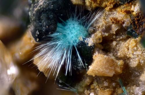 Zalesiita
Concesión La Cena del Depósito, Minas de Cerro Minado, Cuesta Alta, Huércal-Overa, Almería, Andalucía, España.
Campo de visión 2 mm. (Autor: Juan Miguel)