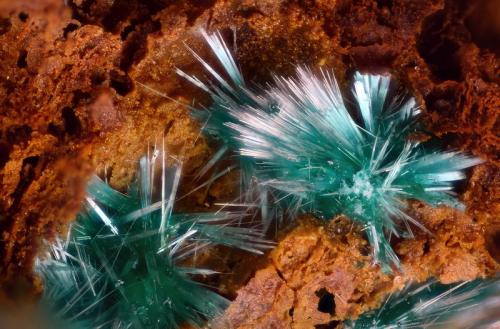 Zalesiita
Concesión La Cena del Depósito, Minas de Cerro Minado, Cuesta Alta, Huércal-Overa, Almería, Andalucía, España.
Campo de visión 2 mm. (Autor: Juan Miguel)